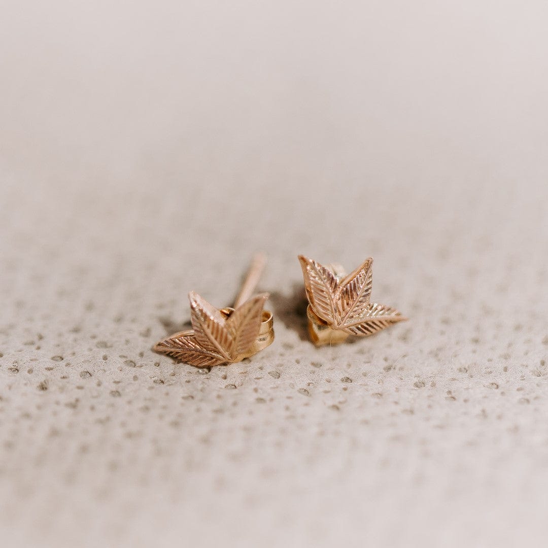 Trio Leaf Earrings in 14k Gold - Vinny &amp; Charles