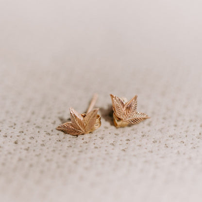 Trio Leaf Earrings in 14k Gold - Vinny &amp; Charles